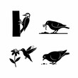 © Mahmud - Minimalist black silhouettes of four different bird species: a woodpecker, a bird eating a worm, a hummingbird feeding from a flower, and a pigeon pecking at seeds.