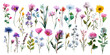 © darkheaven - A vibrant collection of delicate wildflowers and delicate greenery in a loose watercolor style