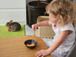 © Pavel Losevsky - Little girl is sitting at a table eating carrots. A rabbit is standing behind her. A potted plant is in the background