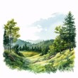 © Studicon - Idyllic summer landscape with rolling hills and lush green meadow in watercolor style