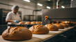 © Odye Design Art - Freshly baked artisanal loaves of bread moving along a conveyor belt in a commercial bakery production line