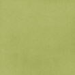 © MedReda - Light lime green fabric texture, soft pastel textile background, minimal cloth surface for spring-themed designs, branding, and digital artwork.