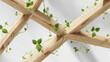 © Tichila - Green vines gently climb a natural wooden lattice structure against a bright white background. Delicate green vines with small leaves are growing. symbolizing growth and nature's embrace.
