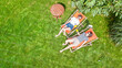 © Iuliia Sokolovska - Young girls relax in summer garden in sunbed deckchairs on grass, women friends have fun outdoors in green park on weekend, aerial drone view from above