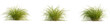 © DH Tree Stock - Carex elata tree, front view, 4k png, transparent background, cutout isolate, Lush green meadow landscape, vibrant summer scene, natural beauty, idyllic rural scenery, peaceful countryside vista