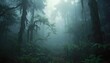© M - Mysterious and dense tropical rainforest jungle with thick fog and lush green vegetation