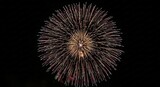 Dense Peony Firework Explosion