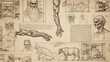 © Gino - Anatomical Sketches and Studies - A Detailed Exploration of Human and Animal Forms.