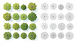 © Uttpol Saha - Set of realistic 3D render top view trees for architectural landscape design