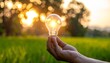 © Adoby - 'Hand holding clear incandescent light bulb glowing with sunlight during sunset over green field'