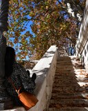 Jesienne kadry z Rzymu, Italia.