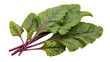 © MdAtiqur - Fresh beet greens bunch isolated detailed view healthy food ingredient isolated on transparent background