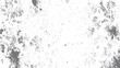 © VECTOR HOUSE - Abstract textured grunge effect in monochrome for creative illustration. Rough distressed black and white grunge texture background vector.