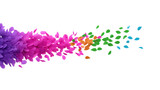 Colorful petal explosion with vibrant purple, pink, orange, green, and blue petals spreading dynamically on transparent background, evoking creativity and joyful energy