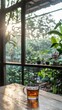 © pvl0707 - Close-up view of a glass cup filled with tea on a wooden table in a garden cafe bathed in morning sunlight