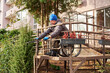 © Alex - A man in a wheelchair trims rose bushes