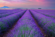 © Piotr Krzeslak - Beautiful landscape of lavender filed in Provence - France