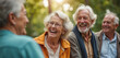 © miss irine - Four elderly friends laugh together outdoors in park on sunny day. Active seniors share joyful moment with smiles, enjoying life and companionship during retirement.
