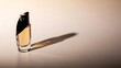 © MDOMAR - Glass perfume bottle with black cap and shadow on surface