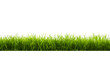 © Oksana_Latysheva - Dense green grass strip isolated on transparent background. Realistic vegetation element for landscaping and environmental visuals.