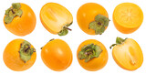 Persimmon fruits, fresh kaki isolated on white background, full depth of field