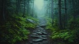 Misty mountain path through a dark forest
