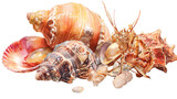 A majestic watercolor collection of seashells and a crustacean painted with intricate details on transparent background
