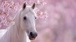 © sablengjago - A regal white horse stands gracefully amidst blooming cherry blossoms with a soft focus background