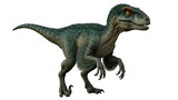 Isolated dinosaur raptor looking ahead on a solid surface, ready to strike its prey