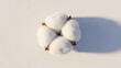 © Ida - Natural White Cotton Boll on White Background