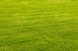 © Alina - A lush green lawn with evenly cut grass, showcasing vibrant colors and a well-maintained appearance. Ideal for outdoor activities and landscaping.