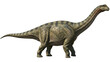 © Jn - Brontosaurus dinosaur isolated PNG on transparent background, long-necked herbivore with mottled green and brown skin, prehistoric creature