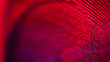 © Travel 'n' Lifestyle - View of vibrant red threads intertwine, casting shadows and light in a mesmerizing dance of texture and color, Portland, Oregon, United States.