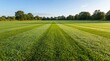© Chau Tan - Beautiful green grass field with perfectly mowed stripes under a clear blue sky