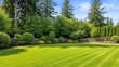 © Mamun - A green large fenced backyard with trees, creating a natural and open outdoor space.