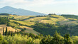 © Travel 'n' Lifestyle - View of rolling green and golden hills dotted with cypress trees, creating a vibrant tapestry under a clear sky, evoking the serene beauty of the Tuscan countryside, Montepulciano, Tuscany, Italy.