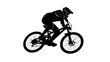 © firda - Silhouette of a mountain biker wearing protective gear riding a rugged trail bicycle during daytime