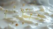 © SetCartoon - Tiny greenstemmed flowers with white petals and yellow centers growing from a wavy creamy white substance