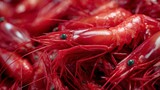 Close-up of freshly cooked, vibrant red seafood. These small crustaceans have pale eyes and a glossy sheen, piled together