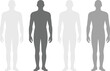 © astroDev - Human body silhouette figures set showing different neutral tones isolated on white background medical anatomy illustration