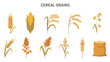 © Faisal - Illustration of various cereal grains including wheat corn rice oats and sorghum plus a sack of grain