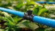 © Tatsiana - Emitter on a blue pipe provides water to plants in a garden. The system helps in the growth of healthy plants with efficient water use