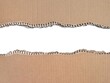 © Eka - Brown ripped torn cardboard edge strips isolated on white background. Copy space