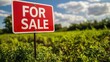 © elimicel - For sale sign on land property