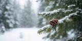 Pine cone resting on snow-covered branch in winter forest, suitable for background or seasonal display