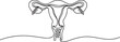 © Ananna - Continuous line drawing of female reproductive system uterus on a transparent background
