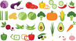 © Md - Large set of fresh vegetable vector illustrations featuring tomato broccoli carrot pumpkin and avocado isolated on white background for healthy cooking recipes and grocery store branding