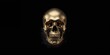© AImmersive Imagery - Golden human skull on black background emphasizing metallic finish or aesthetic appeal