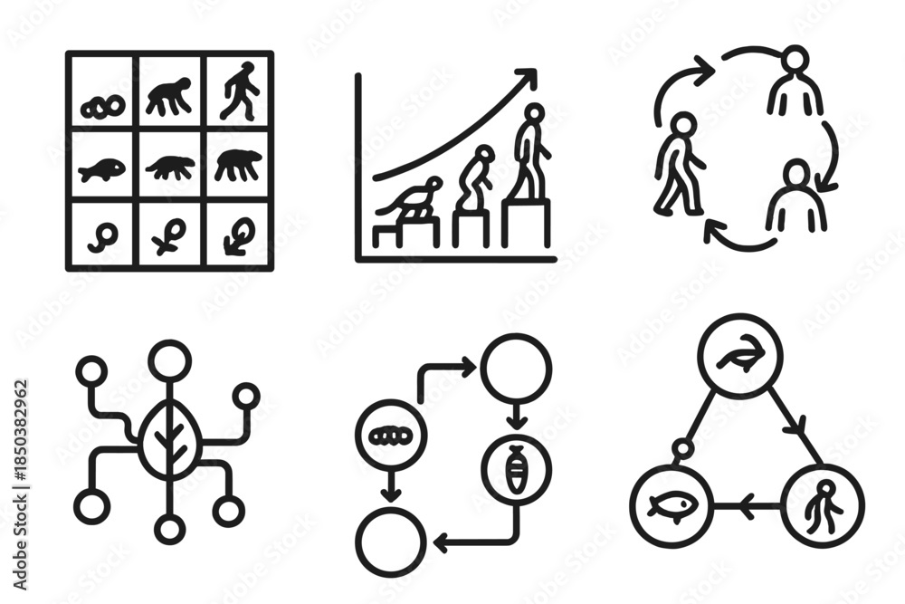 Organic Evolution Icons. Line style icons of organic evolution tracking ...