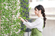 © buritora - A housewife in an apron pruning garden trees with pruning shears